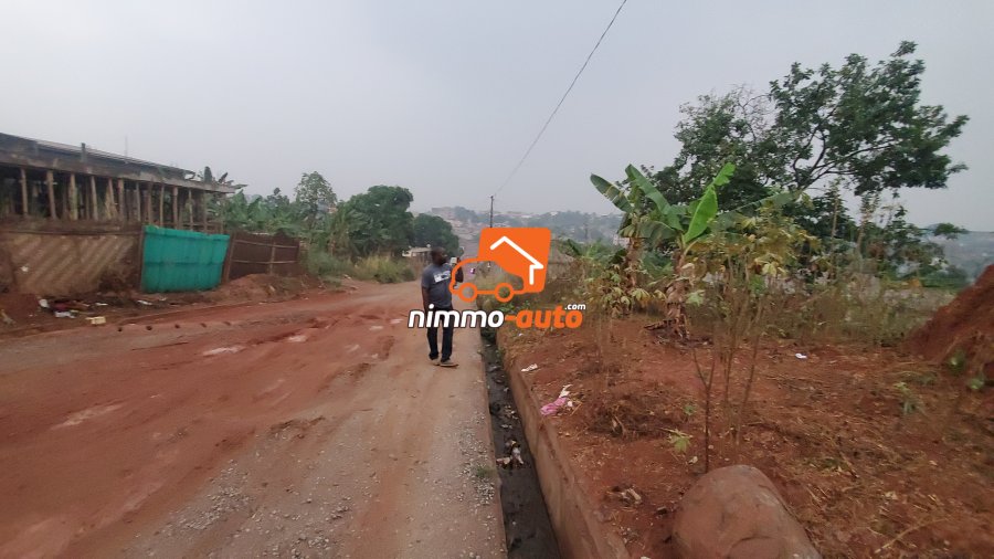 Terrain à vendre NSIMEYONG