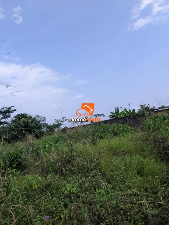 belle opportunite de terrain a vendre yassa