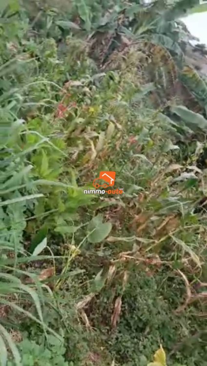 terrain d'habitation