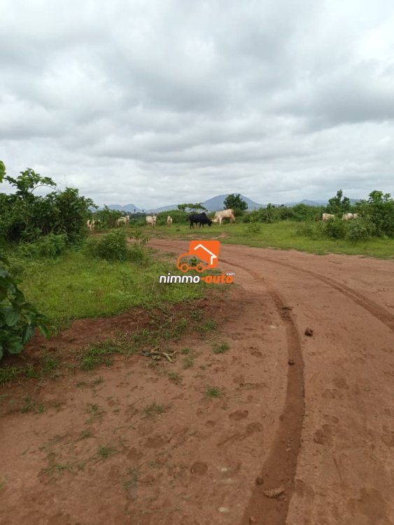 terrain a vendre titré à chapelle nkoabang