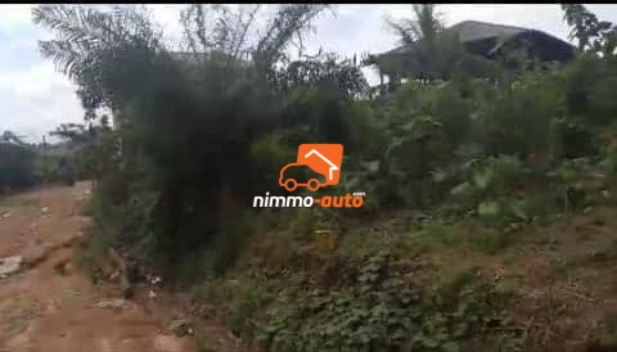 terrain à vendre à lendi