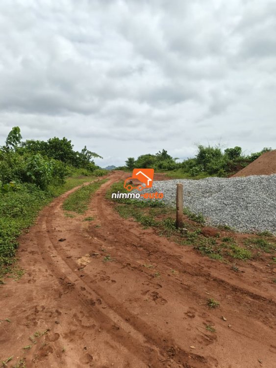 terrain a vendre titré à chapelle nkoabang