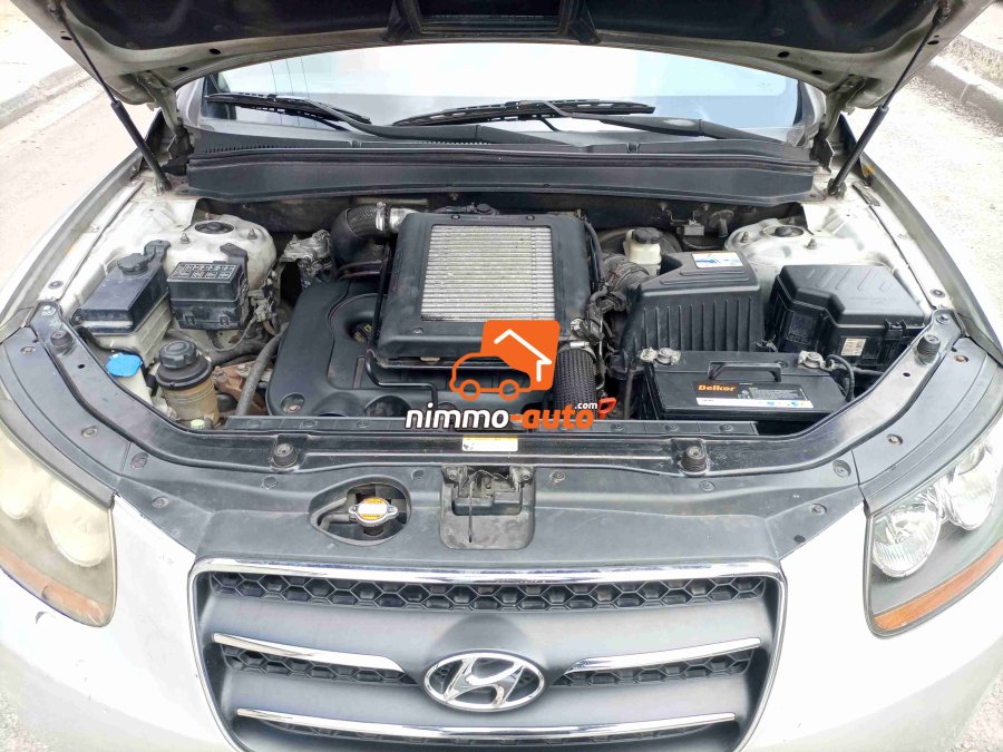 Hyundai Santa Fe 2010 Occasion Belgique