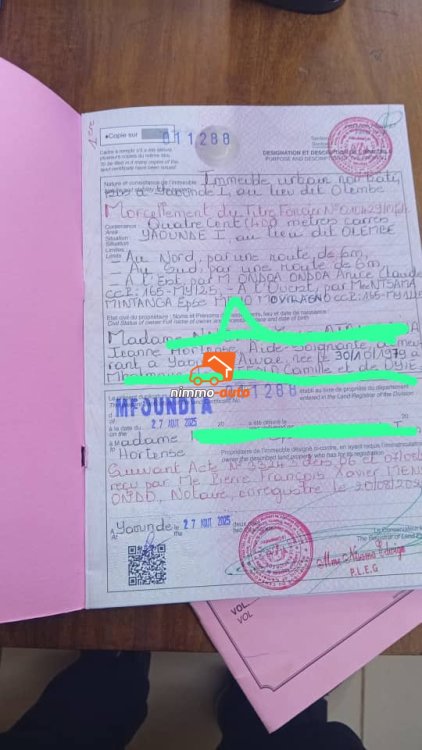 terrain à vendre à olembé stade