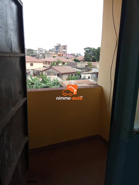 studio à louer à cité verte