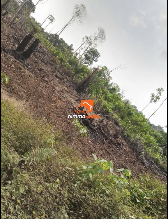 Terrain à vendre à Yassa
