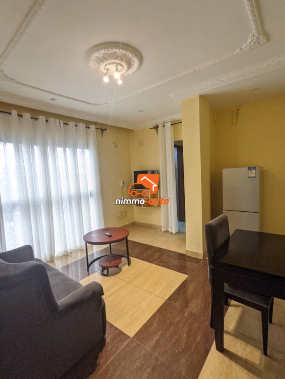 appartement meublé situé à bonapriso