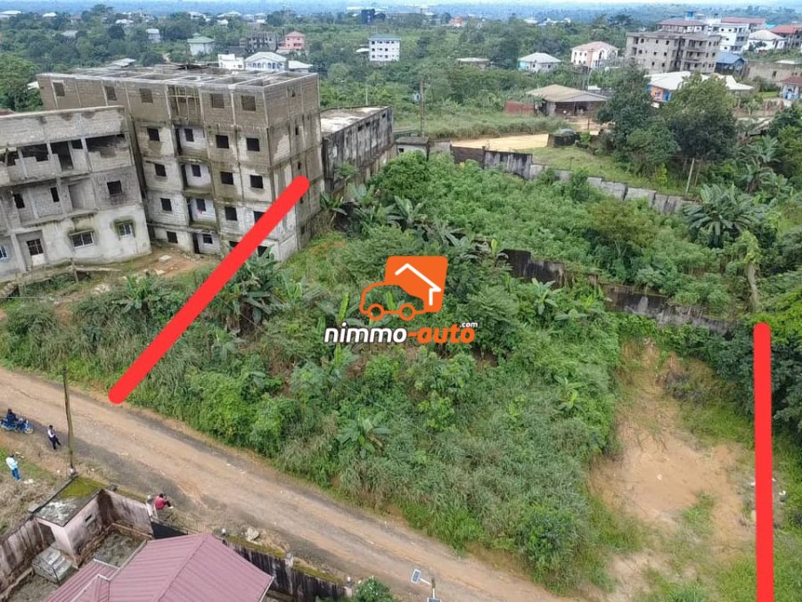 terrain à vendre à lendi en face entree college god win