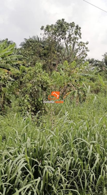 Terrain à vendre au quartier Nyalla