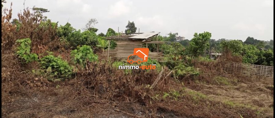 Terrain à vendre à Logbessou