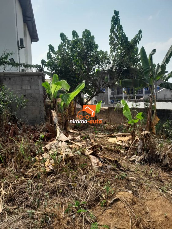 Terrain titré à vendre a mbalgon