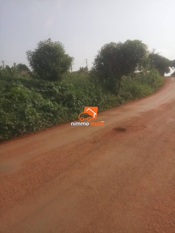 200m² de Terrain non Titré à vendre à Odza