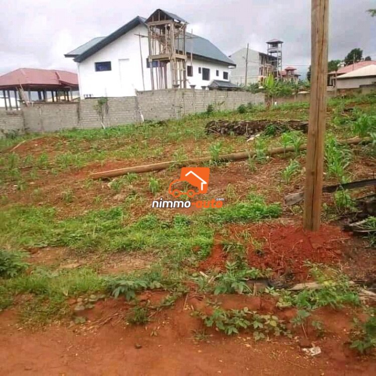 200m² de Terrain non Titré à vendre à Odza