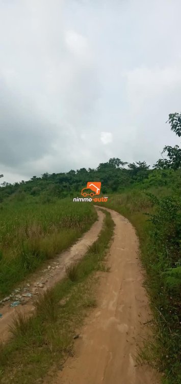 Terrain à vendre à Yassa