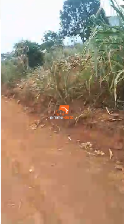 Terrain à vendre NKOZOA