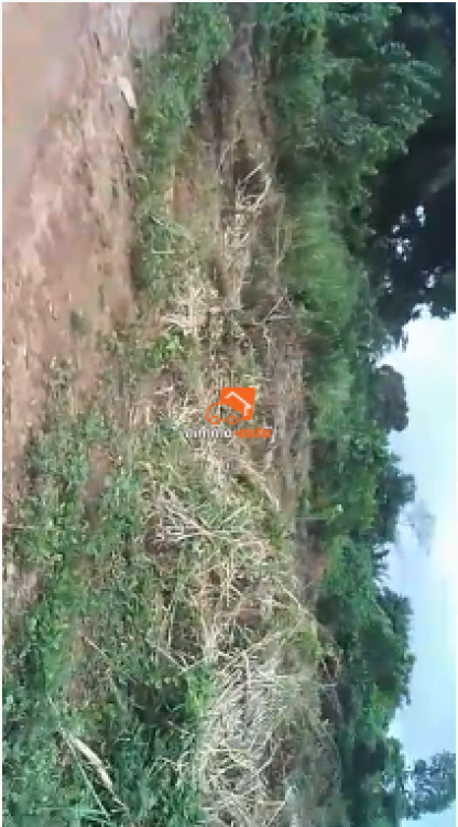 Terrain à vendre EBANG