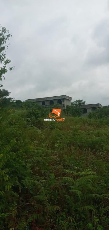 Terrain à vendre à Yassa