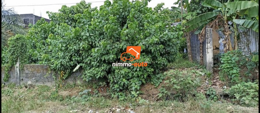 Terrain à vendre à Beedi