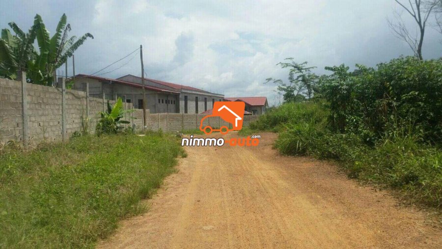 Terrain a vendre à mfou