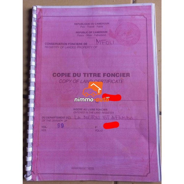 Terrain à vendre à Mendong 2 (MFOU)