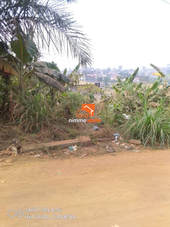 Terrain à vendre à Fougerole