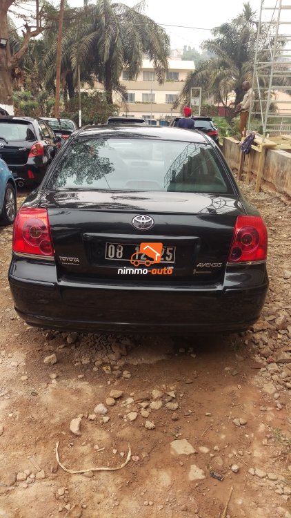 Toyota avensis tête de cochon (PD)