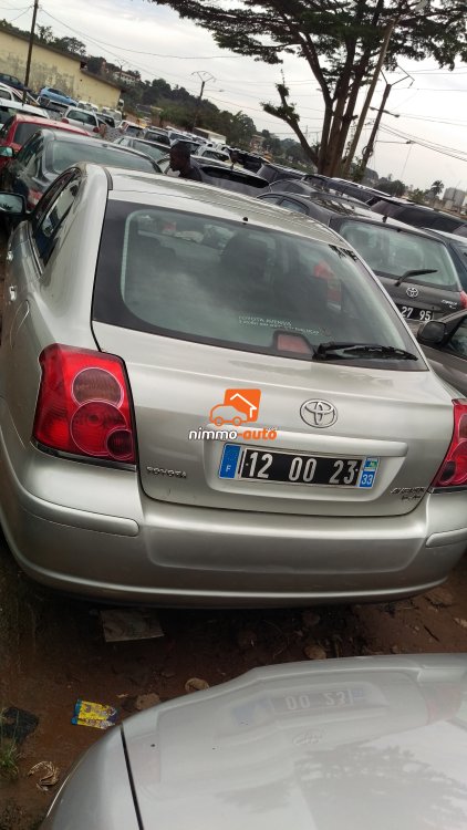 Avensis tête de cochon
