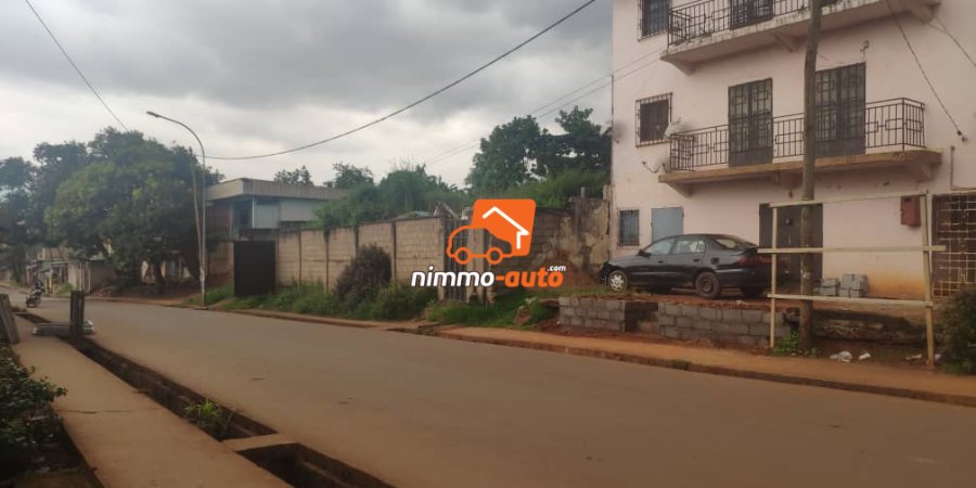 Terrain clôturé bordure route à 100m du marché essos