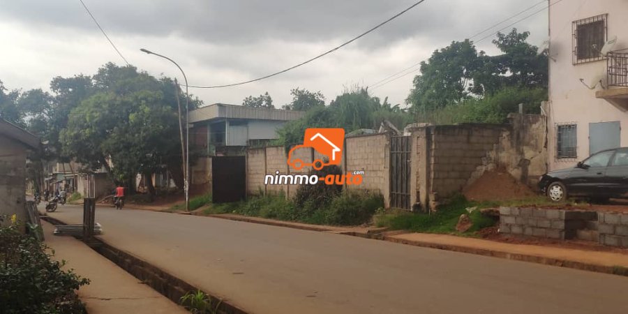 Terrain clôturé bordure route à 100m du marché essos