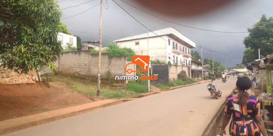 Terrain clôturé bordure route à 100m du marché essos