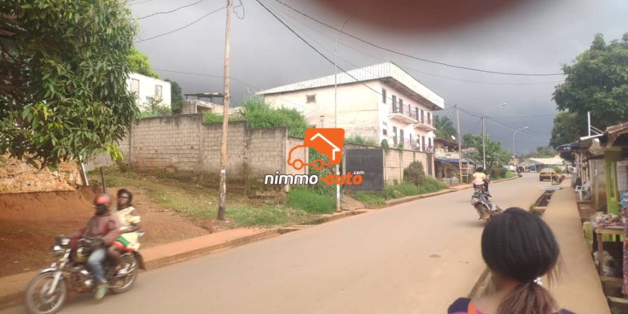 Terrain clôturé bordure route à 100m du marché essos