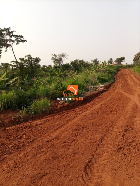Terrains disponibles à toutouli à 150m de l'échangeur. Terrains titrés et disponibles en parcelles de 500m2 (vente par devant notaire)