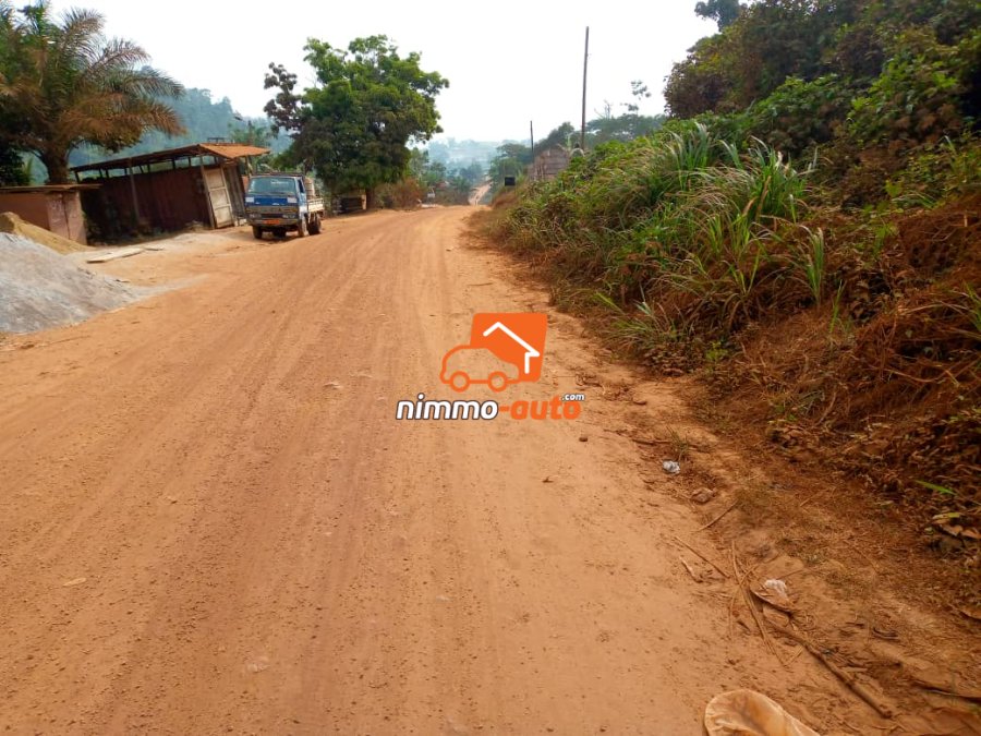 Terrain titré à vendre au carrefour eloumden 2