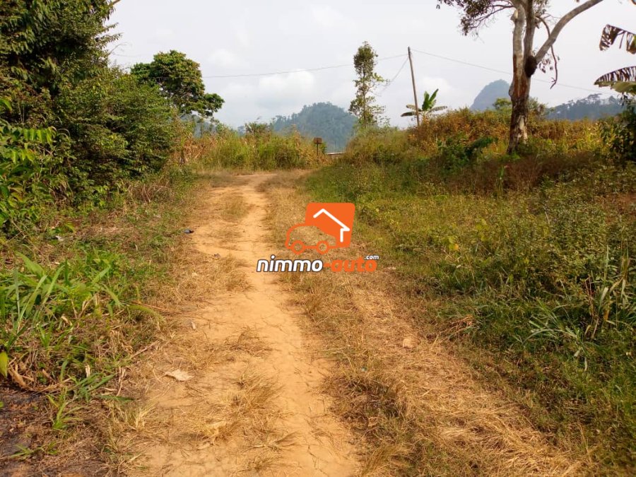 Terrain titré de plusieurs lots de 500m2 a vendre a eloumden2 pres de l'orphelinat de roger milla