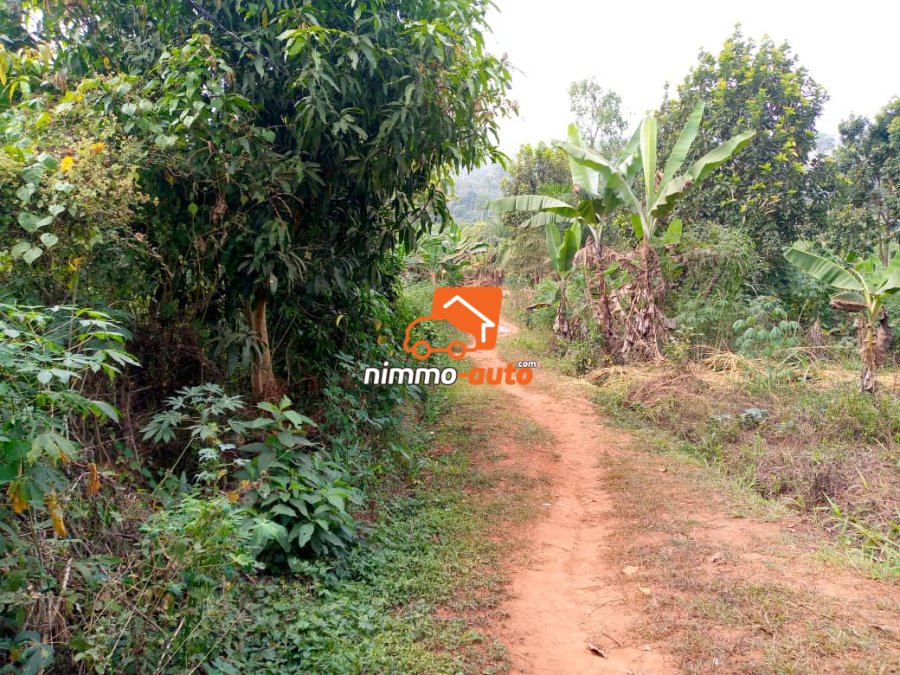 Terrain titré a vendre a eloumden 2 avant le collège st Fernand