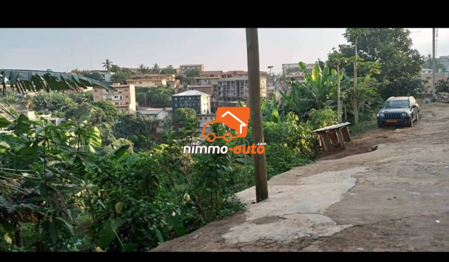 Terrain à vendre a ngousso derriere santa lucia