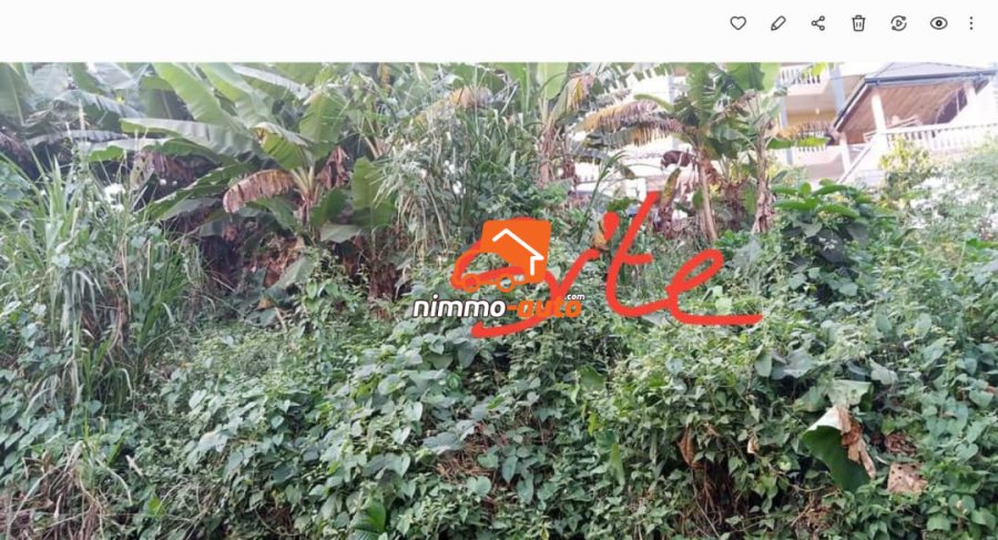 Terrain à vendre a ngousso derriere santa lucia