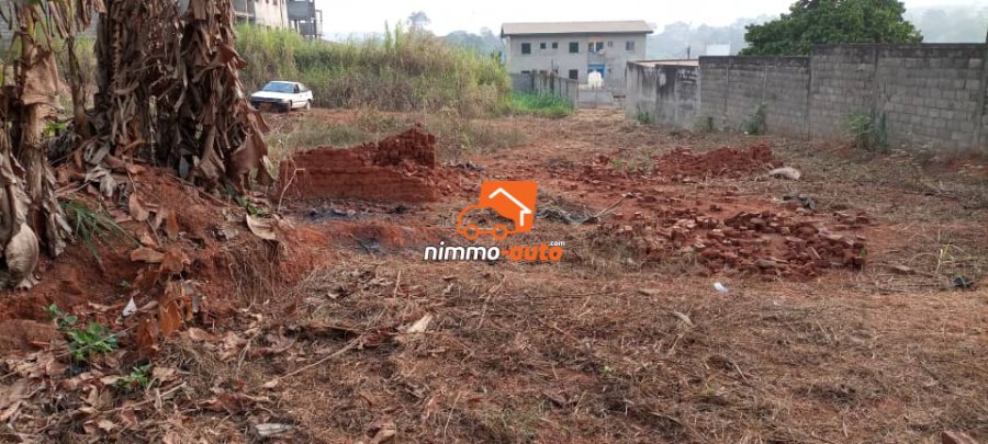 Terrain Damas Petit génie