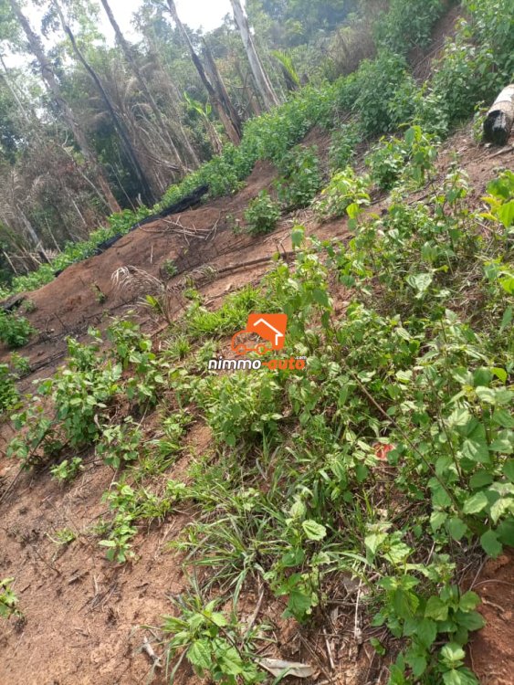 Terrain a vendre a benebalot derrière nsimalen aéroprot