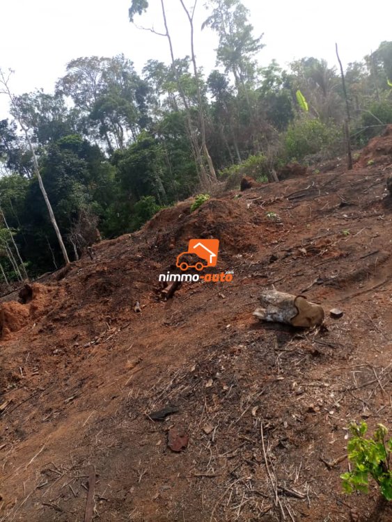 Terrain a vendre a benebalot derrière nsimalen aéroprot