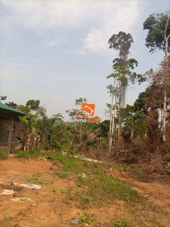 Terrain a vendre a benebalot derrière nsimalen aéroprot