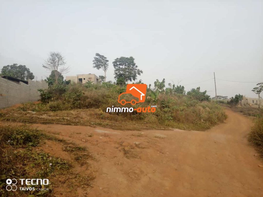 Terrain a vendre a lada (10e arrêt nkoabang