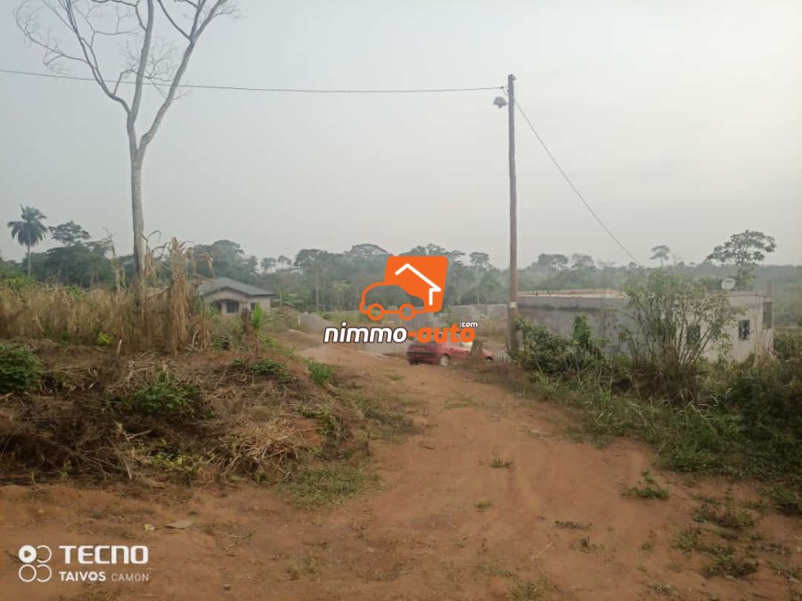 Terrain a vendre a lada (10e arrêt nkoabang