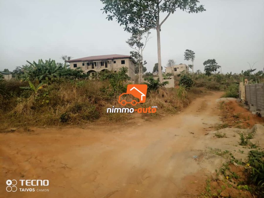 Terrain a vendre a lada (10e arrêt nkoabang