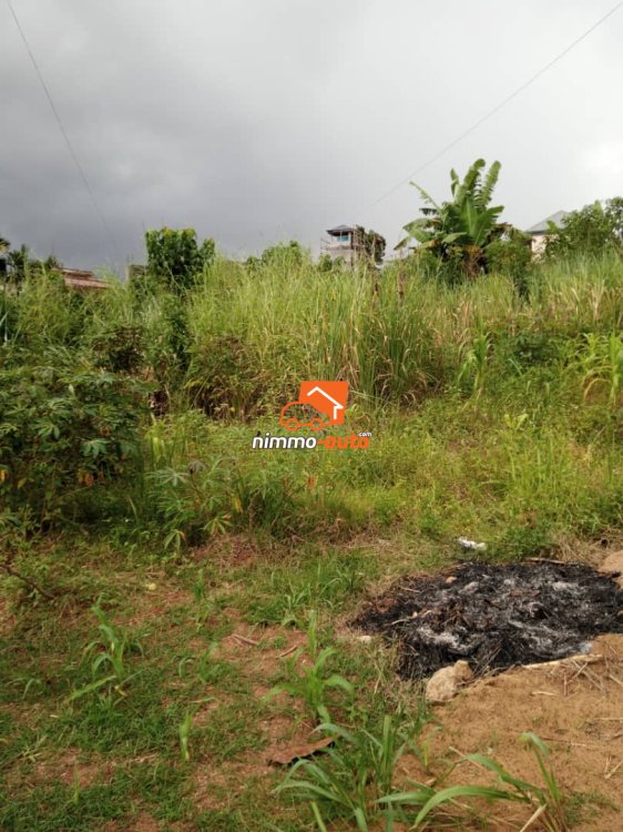 Terrain titré en vente à Nkolnda