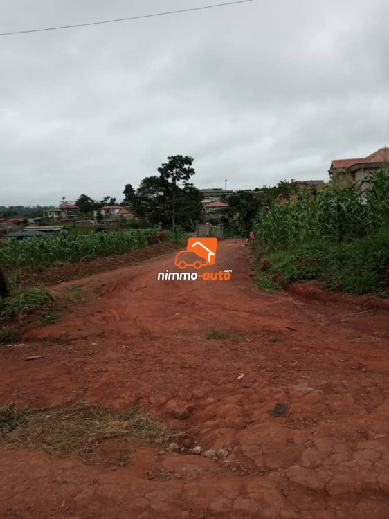 Terrain titré à vendre à Nkolnda