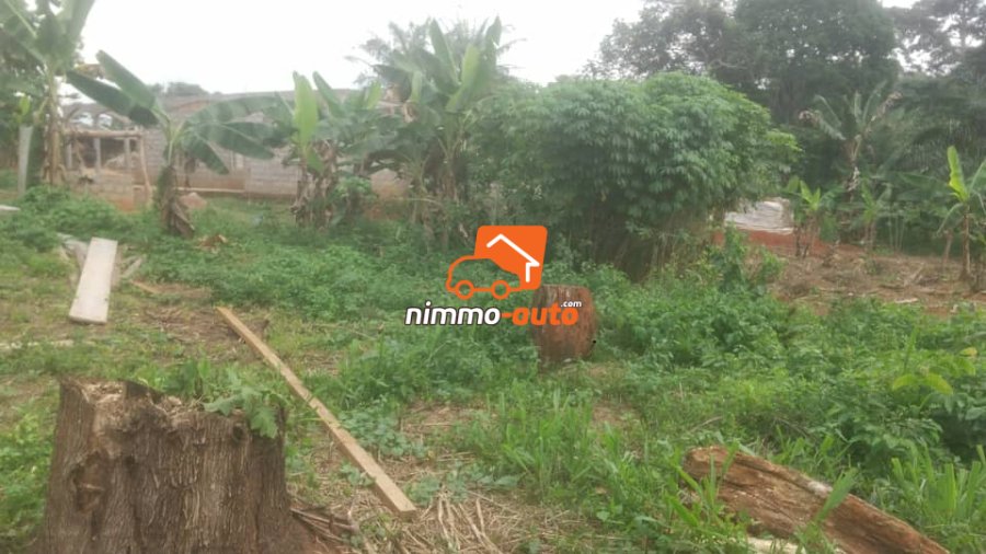 Terrain titré à vendre afan oyoa