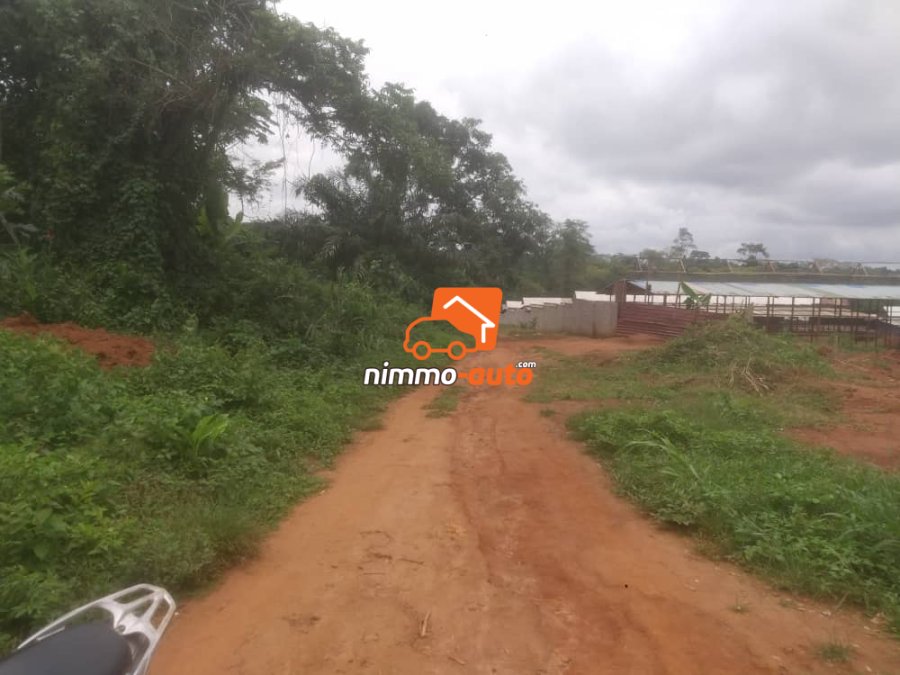 Terrain à vendre à Nkolafamba
