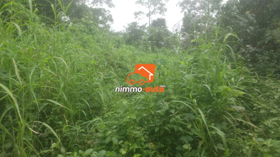 Terrain titré à vendre à Eyang
