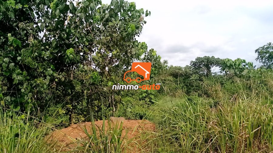 Terrain titré à vendre à Dibamba